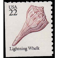 2121 22c Lightning Whelk Fine MNH BPS LS V4862