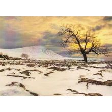 Ingleborough from Keld Bank New Years Day Award Photography Winner Postcard