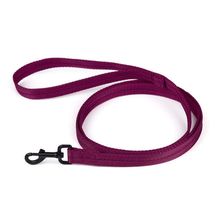 Nylon Leash 5/8" X 6ft Berry