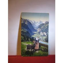 girl with goats, LAUTERBRUNNEN VALLEY, SWITZERLAND antique postcard 1924 pm =