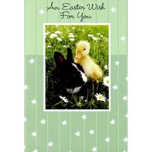 An Easter Wish For You - Easter Greeting Card - 22771