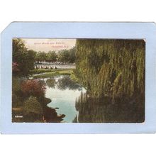 New Jersey Plainfield Green Brook & Willows~2765
