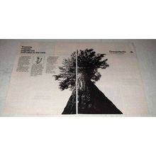 1978 Georgia-Pacific Corporation Ad - Towering Majestic