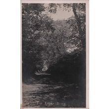 The Avenue Snape Suffolk Old Real Photo Postcard