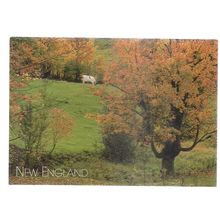 AUTUMN IN ENGLAND COAST, MASSACHUSETTS, USA unused vintage postcard =