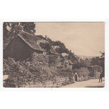 Thatched Cottage Lee Devon Postcard AJVI