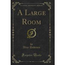 A Large Room (Classic Reprint)