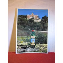 GIN XORIGUER, MENORCA, SPAIN unused postcard =