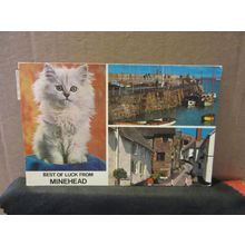 multiview, MINEHEAD, SOMERSET used postcard Colourmaster 1971 pm white kitten =