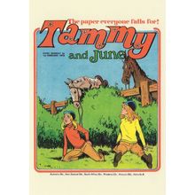 Tammy Show Jumping Disaster 1970s Girls Comic Book Postcard
