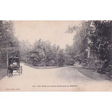 Saigon Jardin Indonesia Old Postcard