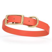 Dog Pet Collar with Brass Hardware Size M W 3/4” L 15” - 18” Coral