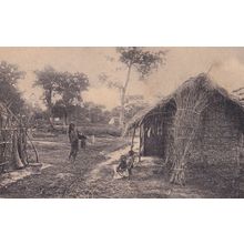 Colombo Sri Lanka Straw House Old Postcard