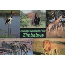 Hwange National Wildlife Park Zimbabwe 1980s Postcard