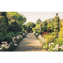 Old Vicarage Gardens East Ruston Gate Stunning Rare Norfolk Postcard