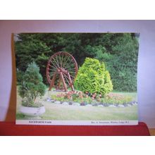 BACKWORTH PARK, NORTHUMBERLAND unused postcard Whitley Bay W.I. Tyne & Wear =
