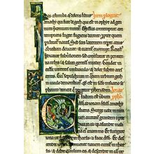 Manuscrits Du Mont Bible Book Livre De Jonas French Postcard