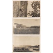 South Africa Views From Wilderness Hotel Baboon 3x Old Photo Postcard s