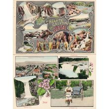 A Hearty Greeting From Natal South Africa 2x Old Rare Postcard