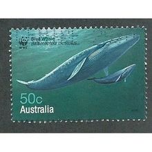 AUS 2006 50c 'WHALES' FINE USED (EBID34-507)