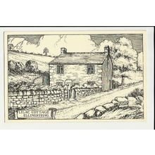 Yorkshire ELLINGSTRING Lilac Cottage Art Postcard