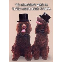 To Someone Who is Truly Man's Best Friend - Blank Greeting Card - 00783