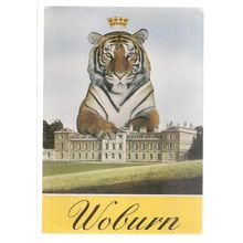 WOBURN WILD ANIMAL KINGDOM, WOBURN ABBEY, unused postcard. tiger =