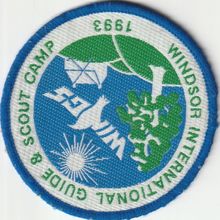 Scout Badge UK Jamboree - Wings 1993 - Used (J1)