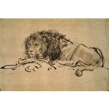 Lion, Rembrandt Art Gallery Poster Canvas Print Wall Decoration A0 A1 A2 A3 A4 A