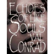 A Julie Madigan Thriller Echoes Of Like Souls