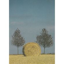 Farming An East Anglia Suffolk Straw Ball Postcard