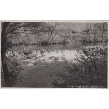 The Weir Dartmoor Angle Bridge Vintage Real Photo Postcard