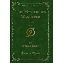 The Mysterious Wanderer, Vol. 2 of 3: A Novel (Classic Reprint)
