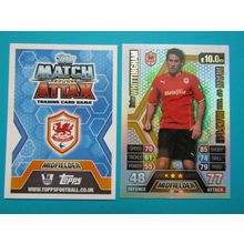 368. Peter Whittingham MOTM Cardiff City - Match Attax 2013/14 Football Card EF1