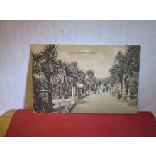 TERRACE GARDENS, TORQUAY, DEVON used antique postcard by W C Edwards 1915 pm =