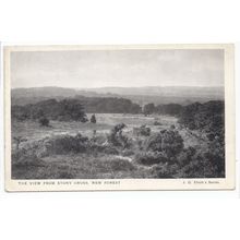 The View from Stony Cross New Forest Hampshire J G Short Series Postcard