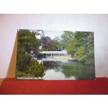 LUSS WATER, LOCH LOMOND unused antique postcard by J.W.B. =