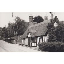 Higham Suffolk Thatched Cottage Village Postcard