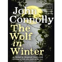 Wolf In Winter