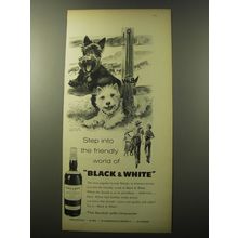 1960 Black & White Scotch Advertisement