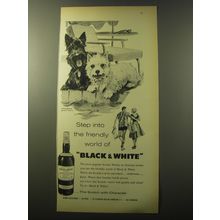 1960 Black & White Scotch Advertisement - Step into the friendly world