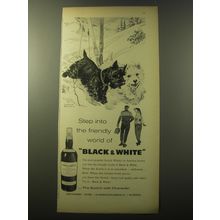 1960 Black & White Scotch Ad - Step into the friendly world