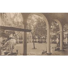 The Italian Winter Garden At Marine Hotel Durban African Postcard