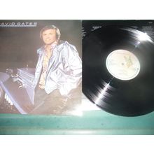 DAVID GATES LP - FALLING IN LOVE AGAIN