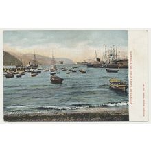 PUERTO DE SANTA CRUZ DE TENERIFE early 20th C. RPPC Spain Nobrega 46