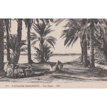 Sahara Desert Sand Oasis Antique Fashion Robes Postcard