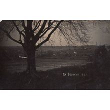 Great Bedwyn Sunset Dusk Falling in Woods Antique Wiltshire Real Photo Postcard