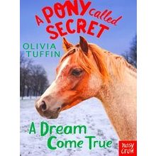 A Pony Called Secret: A Dream Come True