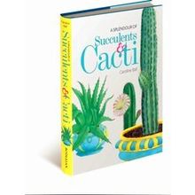 A Splendour of Succulents & Cacti