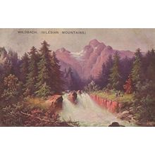 Wildbach Silesian Mountains Antique German Postcard